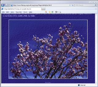 [png-MagnoliaAlpha.html 40%-scale screenshot (27k)]